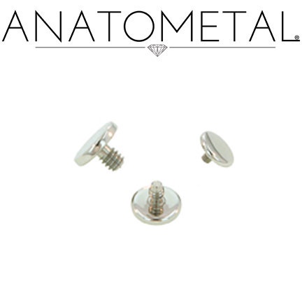 Anatometal Ti Basic Threaded End
