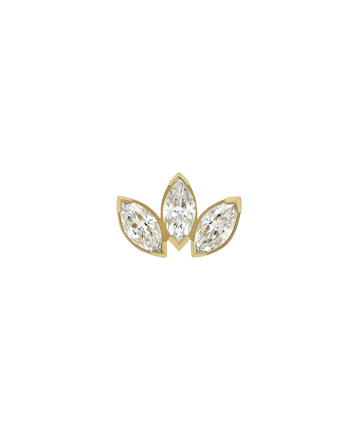 Anatometal Marquis Fan