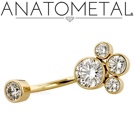 Anatometal Ti 14g Navel Curve