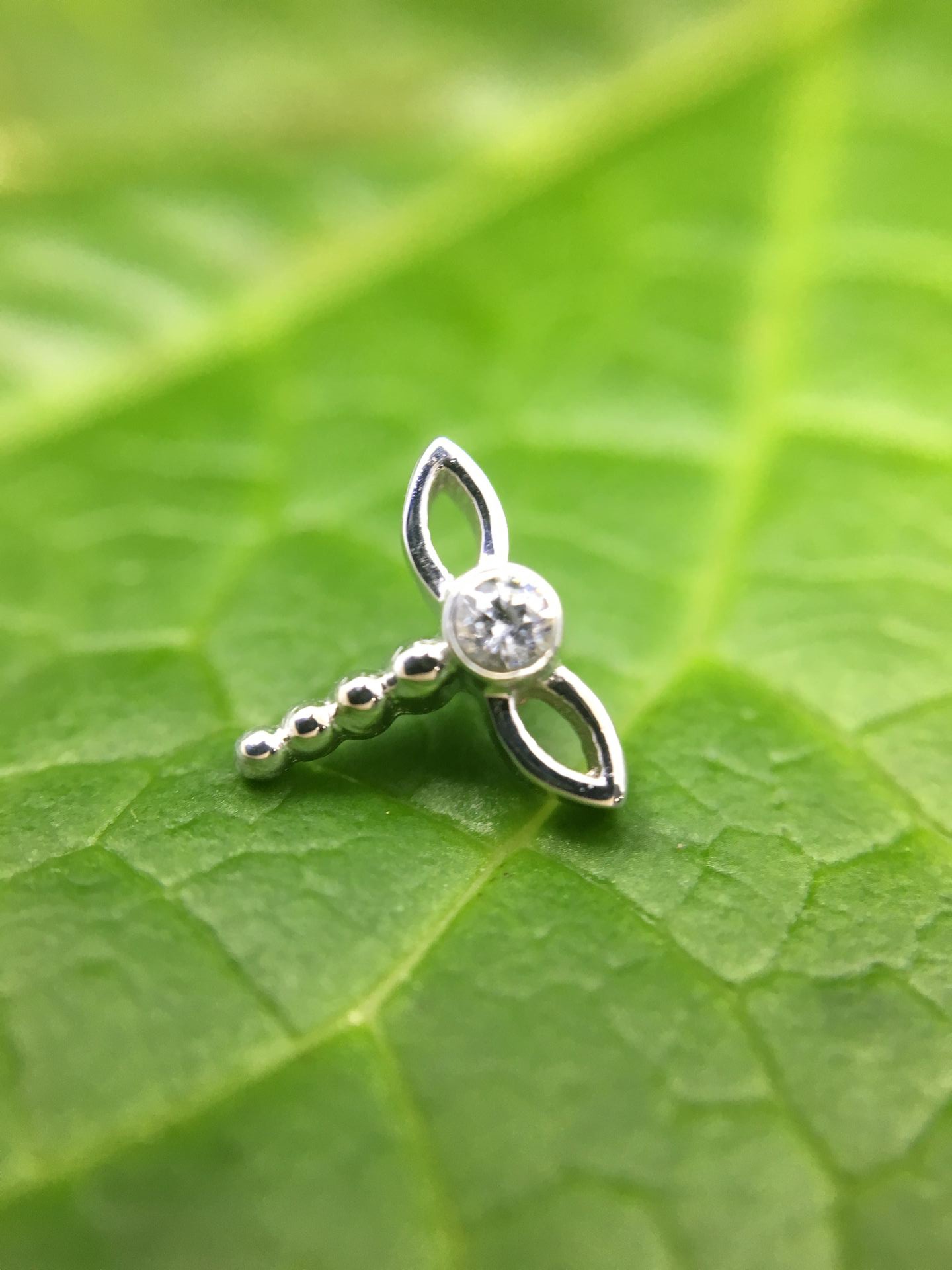 BVLA Threaded End Dragonfly