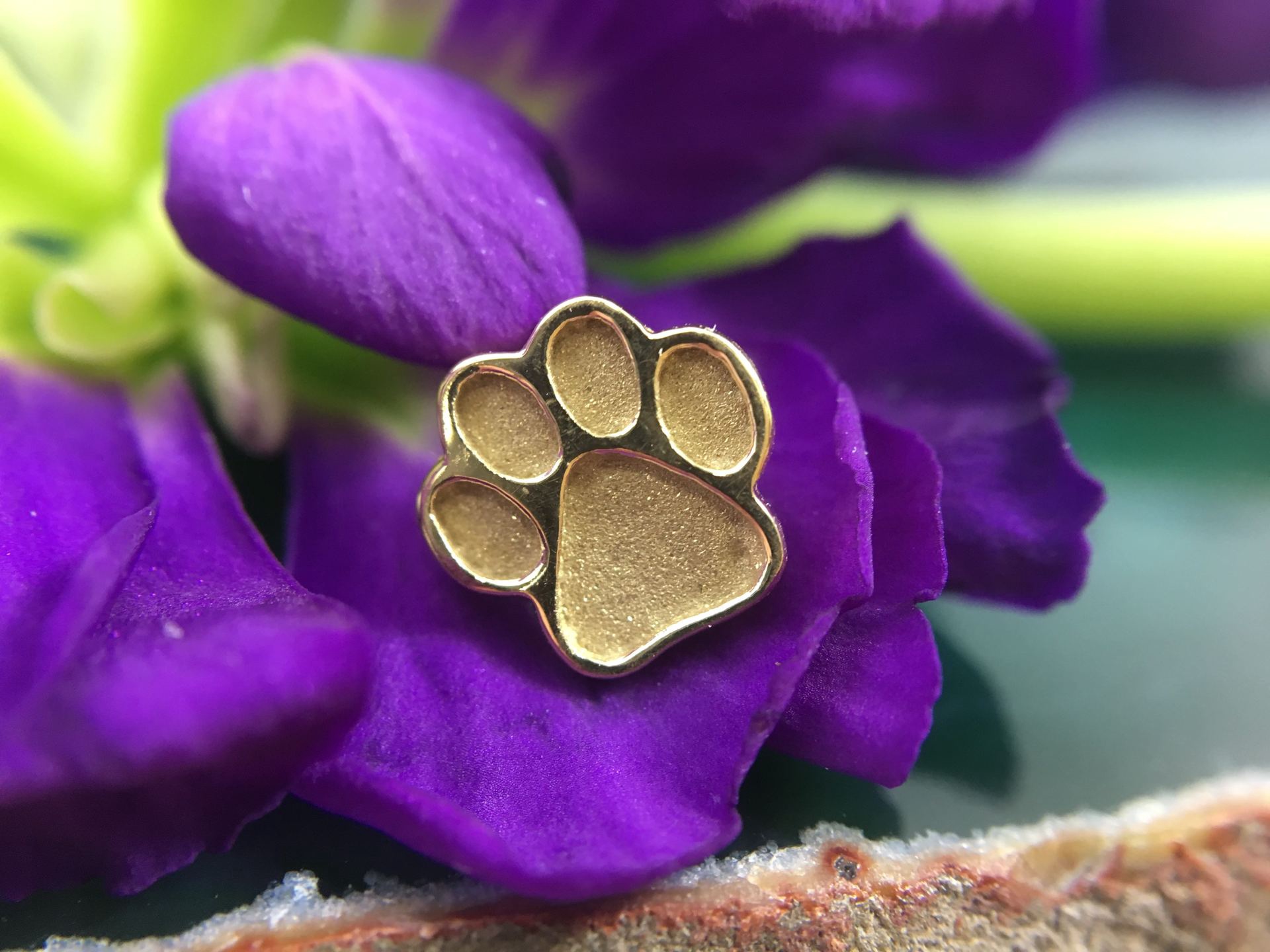 BVLA Threaded Paw Print