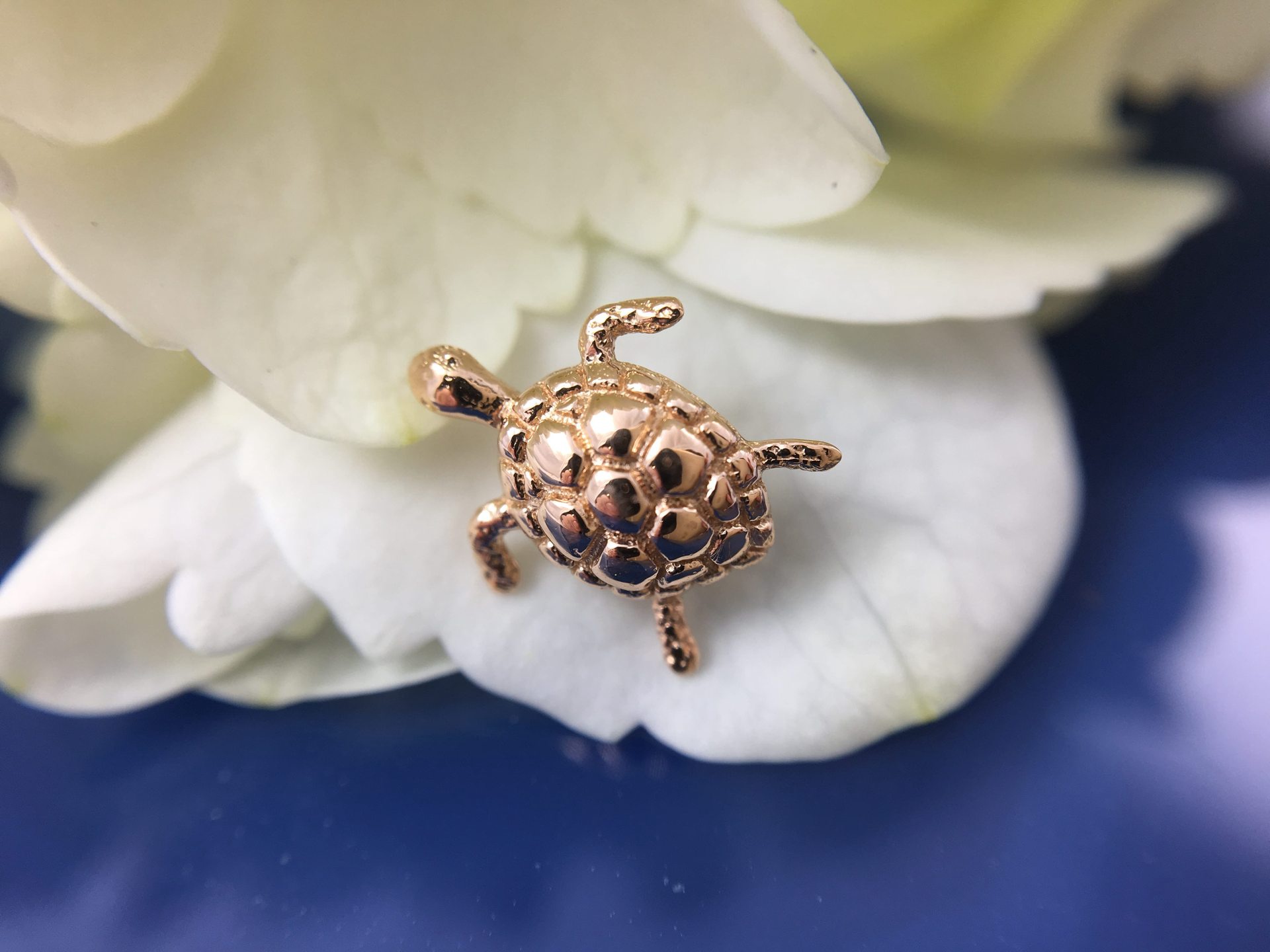 BVLA Threaded Swimming Turtle