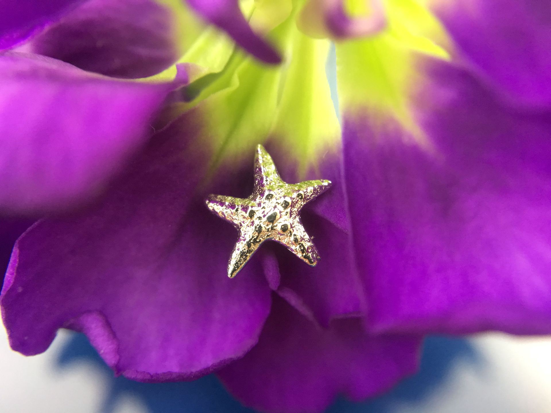BVLA Threaded Starfish