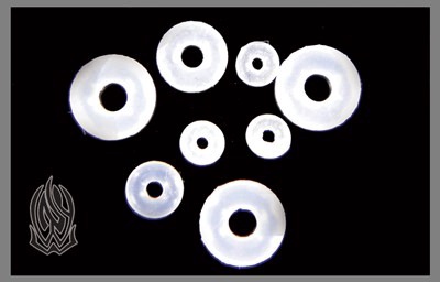 O-Ring