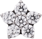Titanium Flower Gem (5 petals)