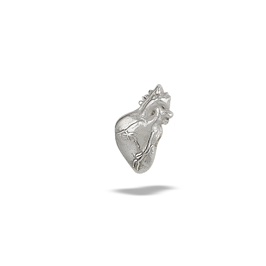 Anatomical Heart