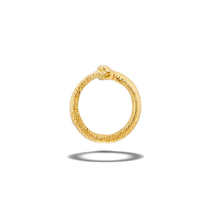 Circle Snake