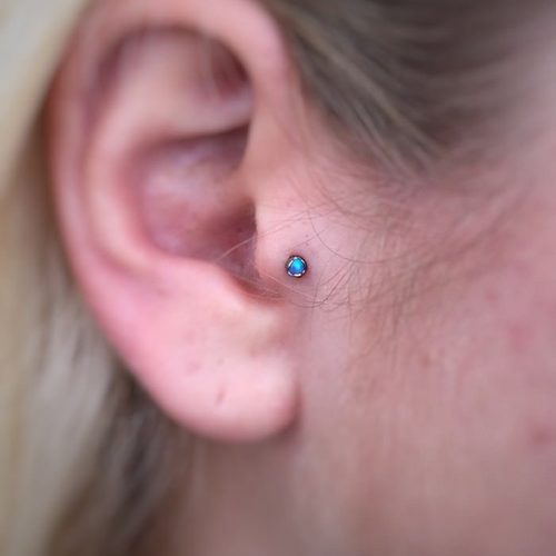 James Coleman tattoo & piercing portfolio · Jacksonville