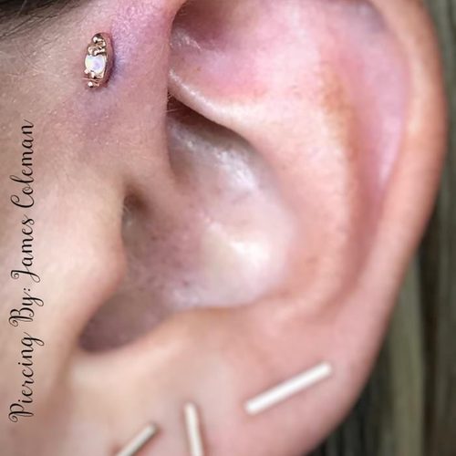 James Coleman tattoo & piercing portfolio · Jacksonville