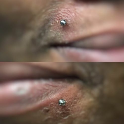 James Coleman tattoo & piercing portfolio · Jacksonville