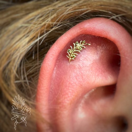 Jordan Dzialoski children's ear piercing work